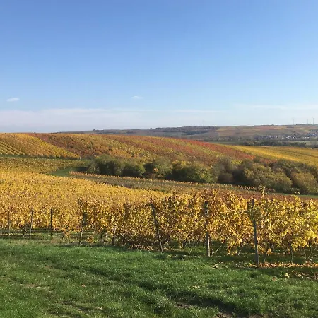 Rheinhessen Appartamento