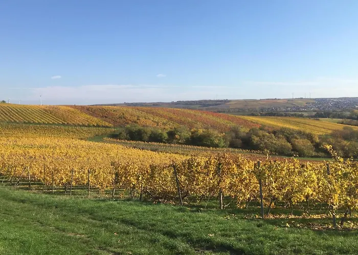 Rheinhessen Apartamento